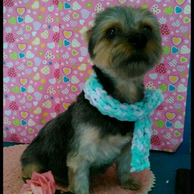 imgPL606247717_1456404651624