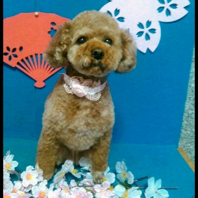 imgPL606247717_1457515512907