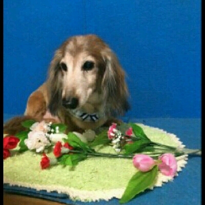 imgPL606247717_1463826928257