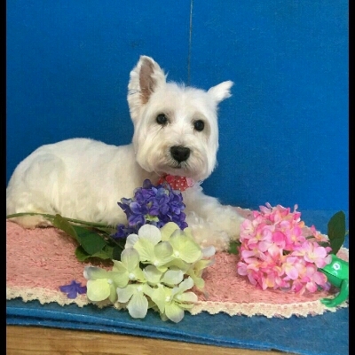 imgPL606247717_1465569574822