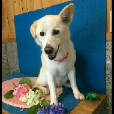 imgPL606247717_1465571272457