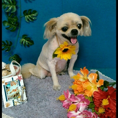 imgPL606247717_1470563944344