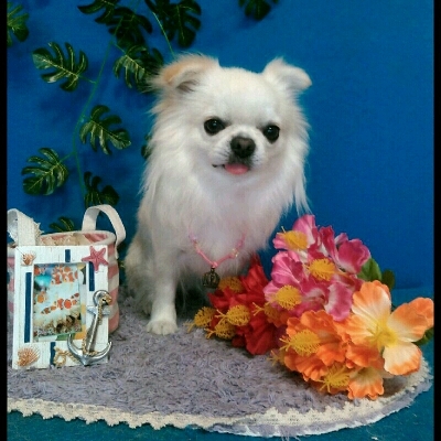 imgPL606247717_1470755078878