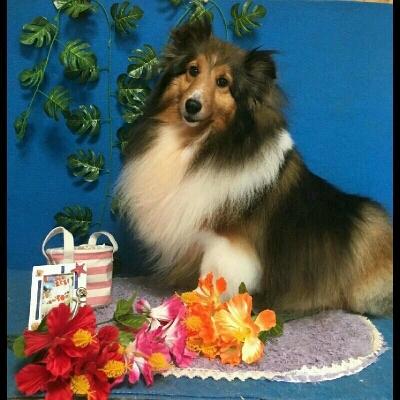 imgPL606247717_1470755823671