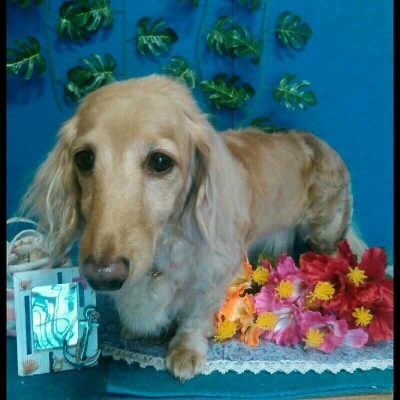 imgPL606247717_1471966982566